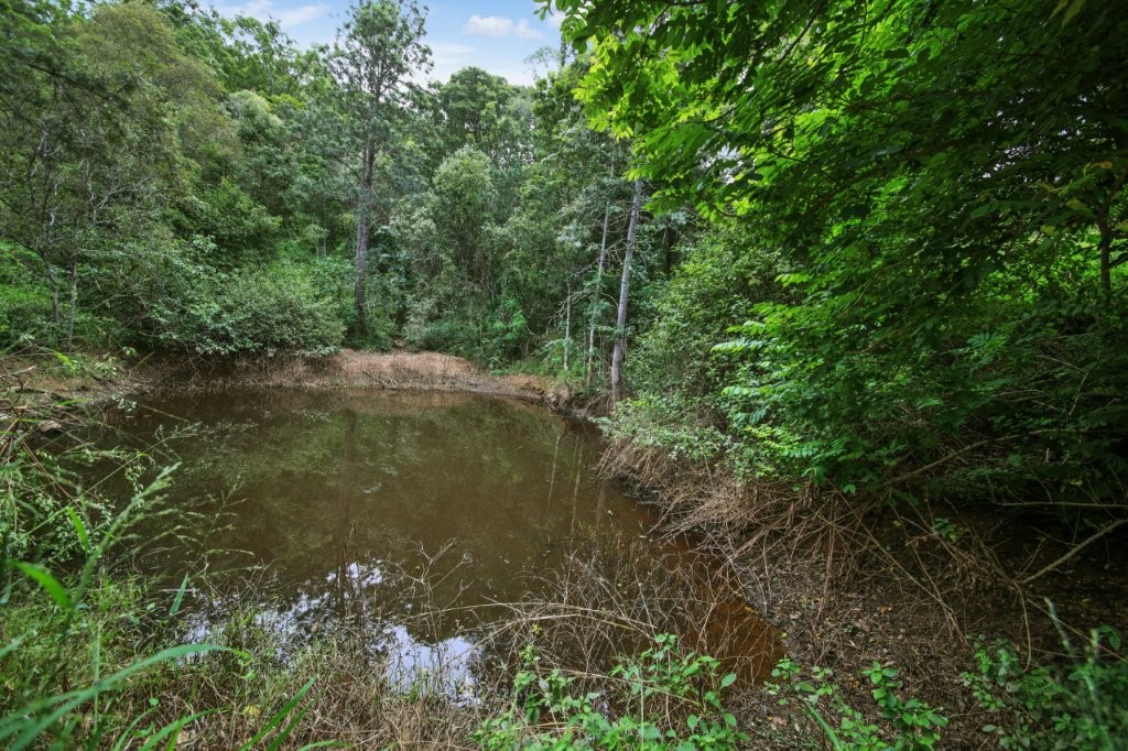 Tranquil 40 Acreage Retreat 