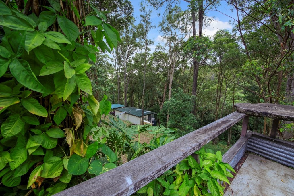 Tranquil 40 Acreage Retreat 